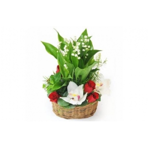 COMPOSITION MUGUET