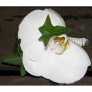 Boutonnière en Orchidée 