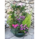 COUPE DE PLANTES