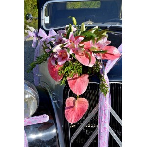 decoration de voiture 