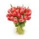 Bouquet de tulipes 