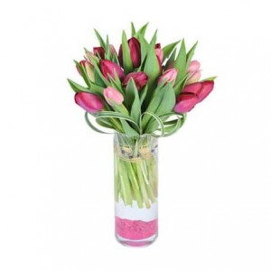 Bouquet de tulipes 